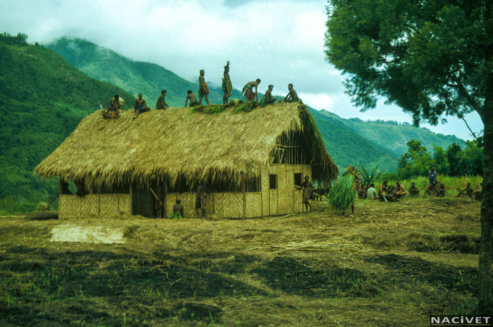 Papua New Guinea (1976)