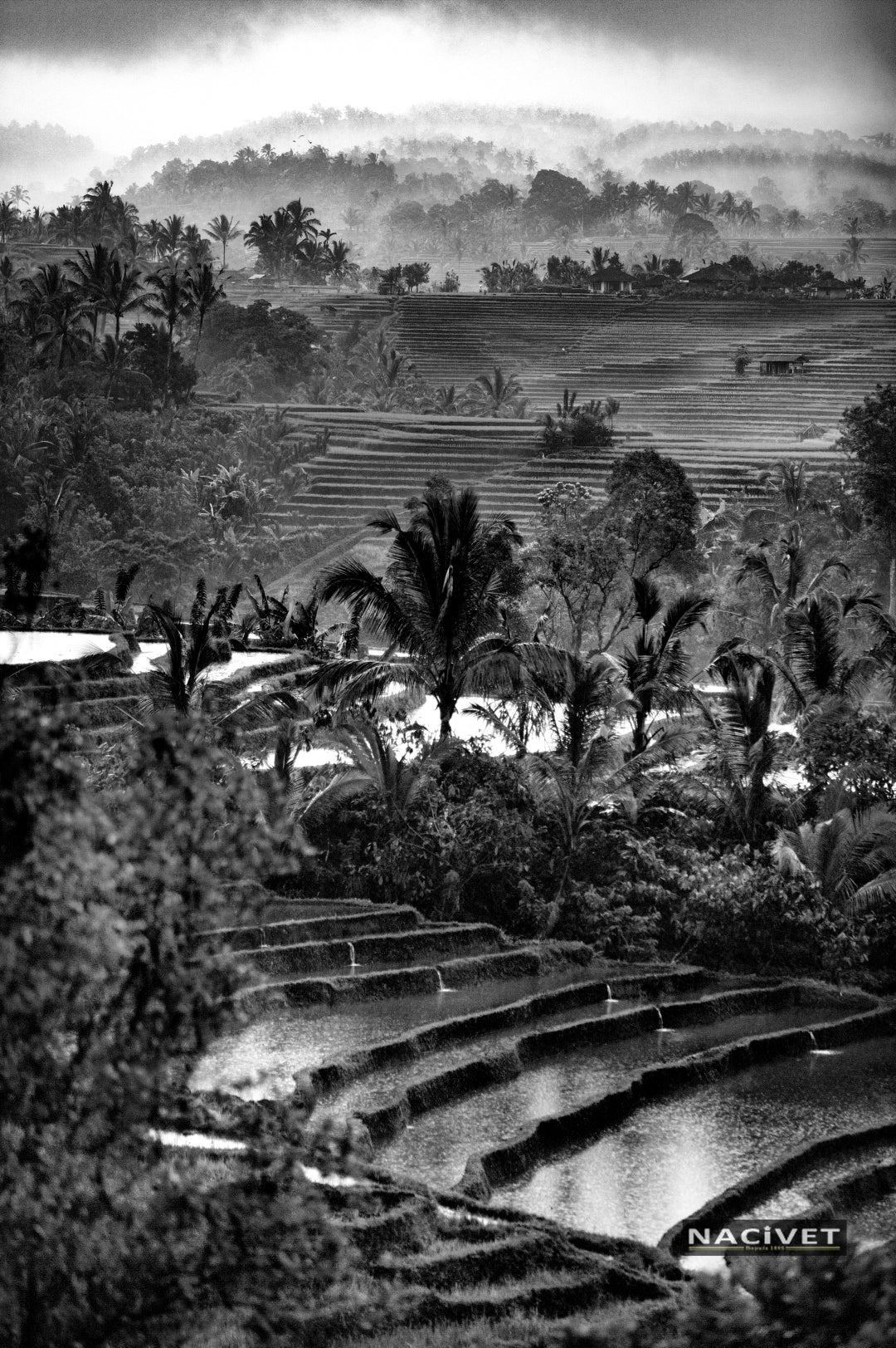 AC3586-BW888