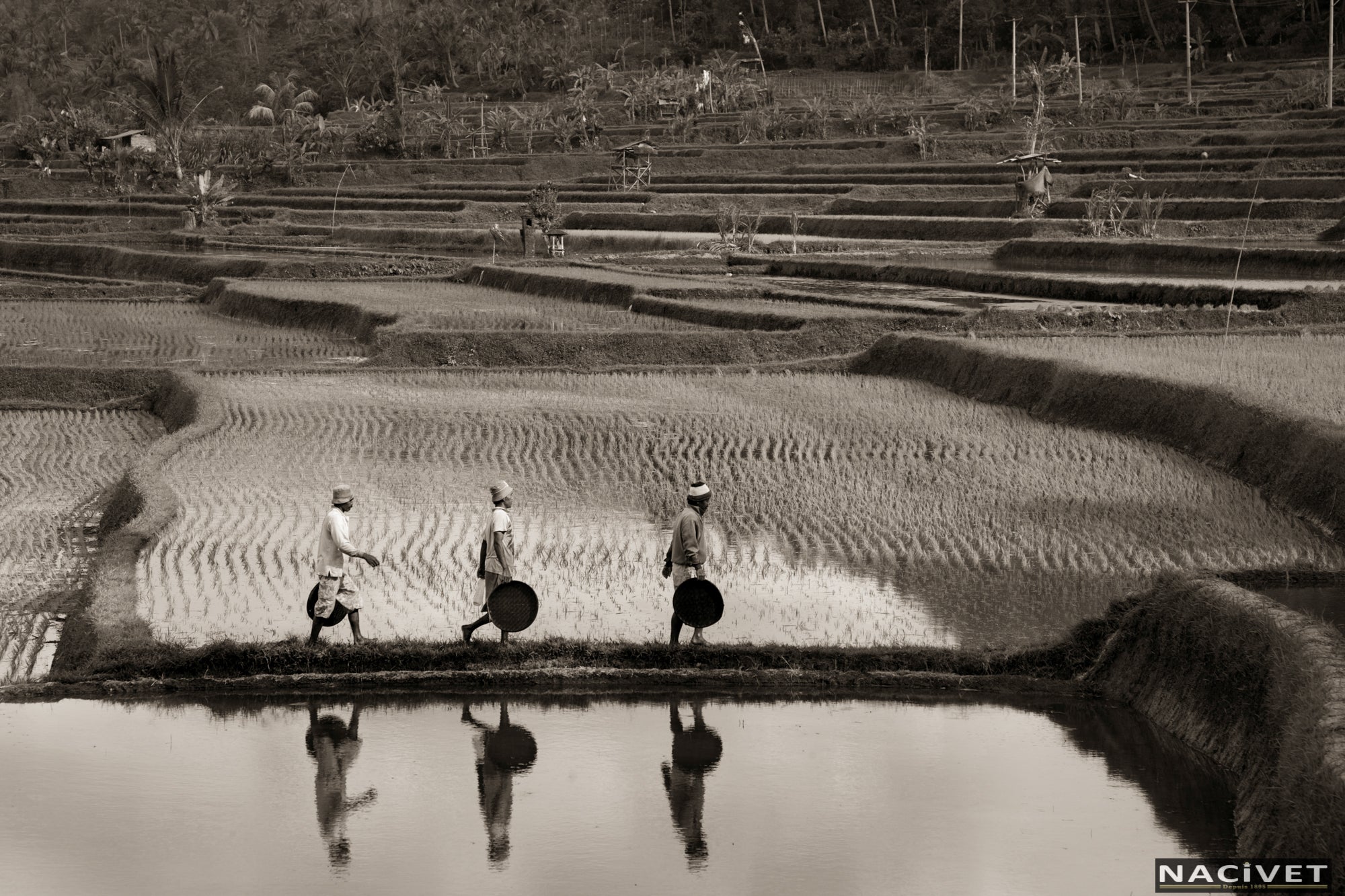 Nacivet Fine Art Photography & Gallery