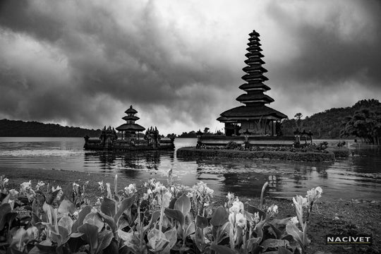 AJ3444-BW111
