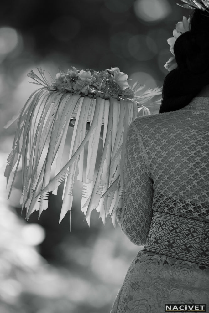 Nacivet Fine Art Photography & Gallery
