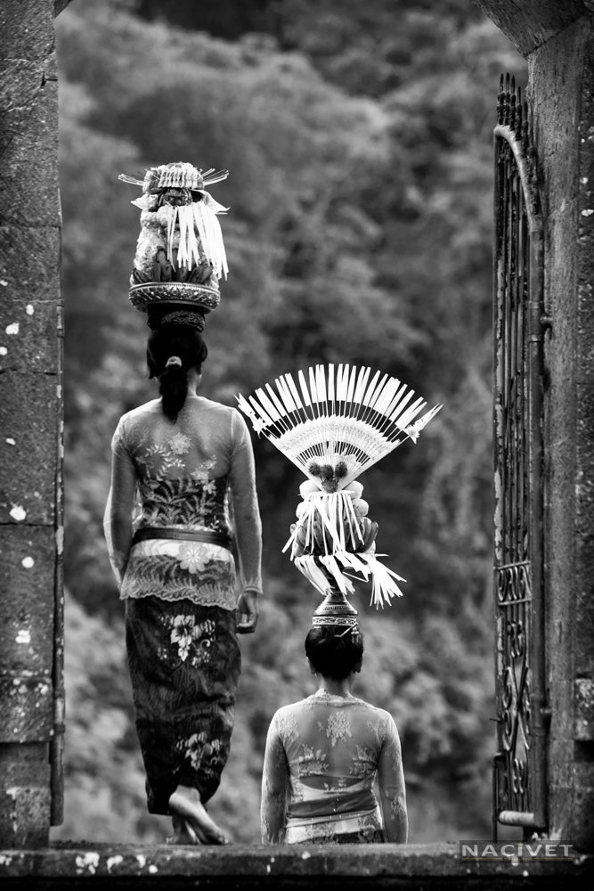 Nacivet Fine Art Photography & Gallery