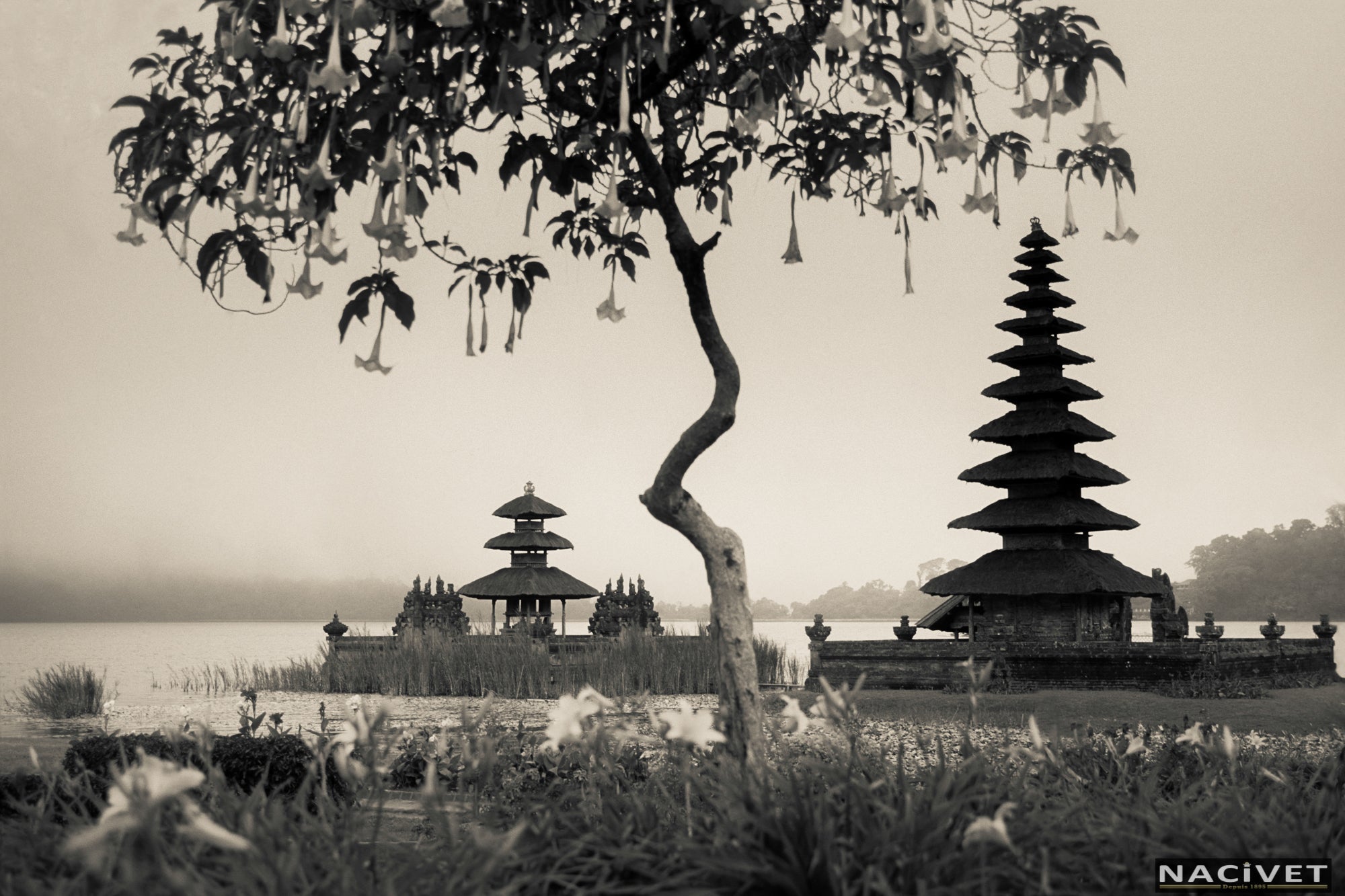 Nacivet Fine Art Photography & Gallery
