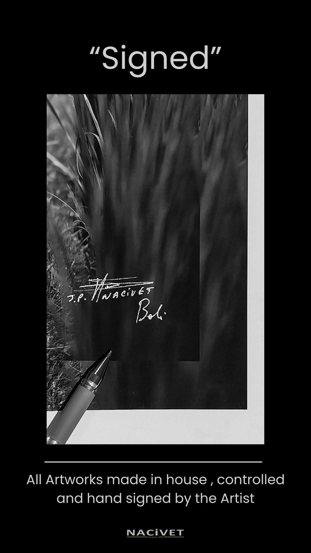 Sp666 Bí Mật Thành Công - Giải Mã Chiến Lược Đỉnh Cao