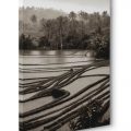 Canvas print art photography art gallery Bali Paris Nacivet AC3571-SP111