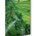Canvas print art photography art gallery Bali Paris Nacivet AE5522-CL01