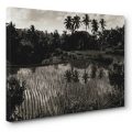 Canvas print art photography art gallery Bali Paris Nacivet AN9687-BW102