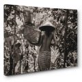 Canvas print art photography art gallery Bali Paris Nacivet BC4517H-SP322